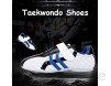 Meng Taekwondo Schuhe Martial Arts Sneaker Boxen Kung Fu Taichi Leichte Schuhe for Erwachsene und Kinder (Color : White Size : 42)