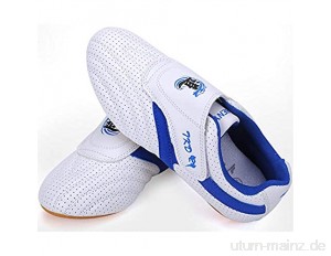 meng Taekwondo Schuhe  PU Leder Weiche Sohle Taekwondo Schuhe für Taichi Fitnessstudio (Color : White  Size : 41)